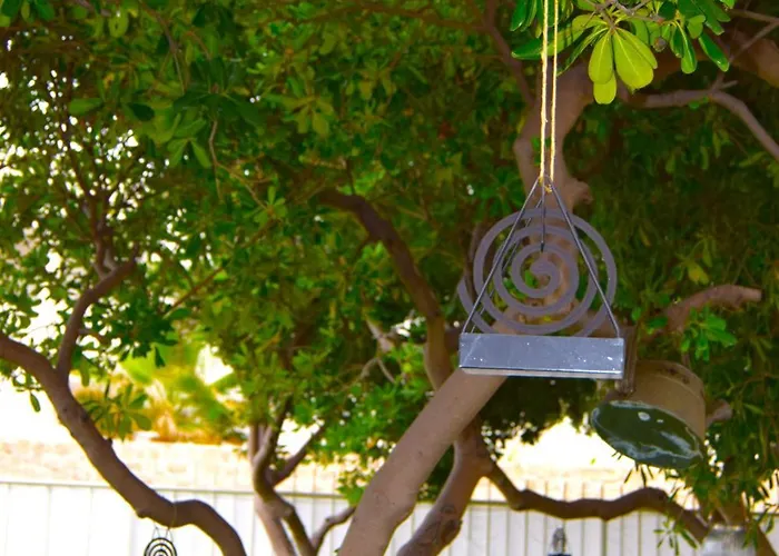 12 Passi Dal Mare בארי